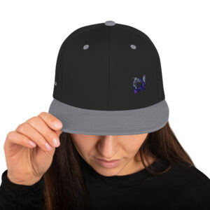 snapback hat
